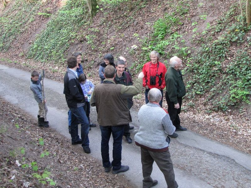 Bild 5